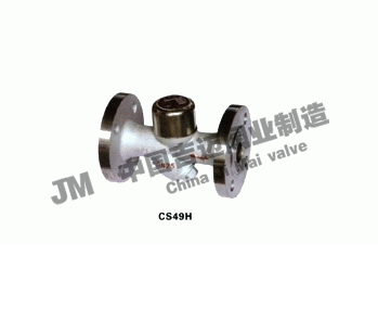 CS49H(dng)ʽAP(pn)ʽY(ji)ˮy